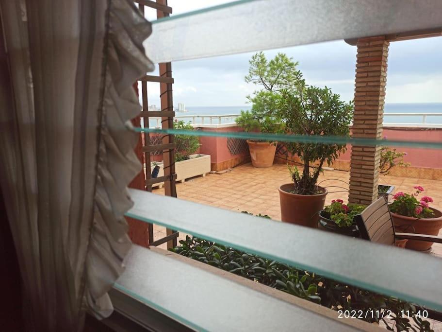Espectacular Terraza Y Vistas En 1A Linea De Playa Apartamento Cullera Exterior foto